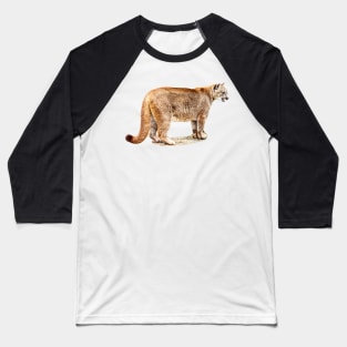 Full bodied Cougar Baseball T-Shirt